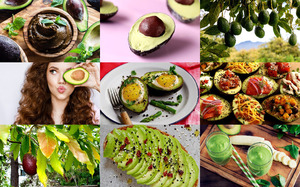 klicke hier, um die Datei herunterzuladen Avocado