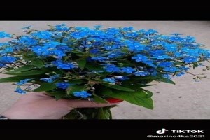 Bouquet for you - Strau fr dich