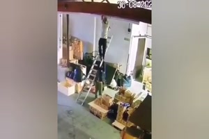 Idiots 56