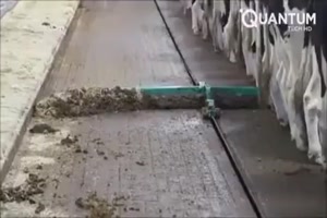 Nie wieder Schoki