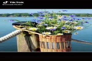 Music and flowers - Musik und Blumen