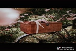 Bicycles & flowers - Fahrrder & Blumen