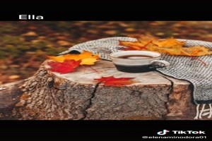 Septembrie - September