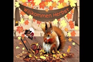 weiter