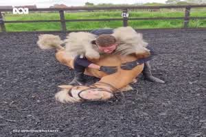 Das Pferd sieht entspannt aus