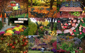 klicke hier, um die Datei herunterzuladen Autumn Gardens - Herbstliche Gärten
