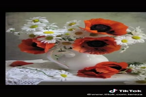Still lifes by Russian photographers - Stillleben