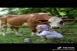 Farm life - Bauernhofleben