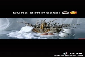 Guten Morgen (Stille)