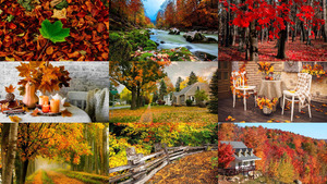 klicke hier, um die Datei herunterzuladen Beautiful autumn 18