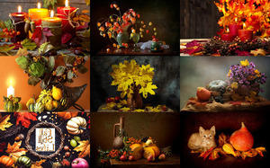 klicke hier, um die Datei herunterzuladen Fall Still Lifes - Herbststillleben