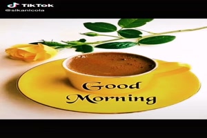 Good morning, my friend (Roses) - Guten Morgen