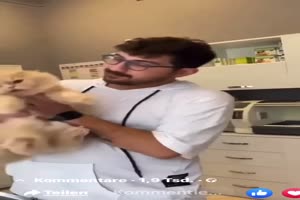 Animals 1