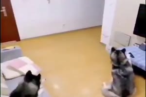 Schnell den Fernseher ausmachen