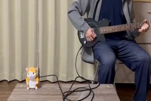Musikspringer