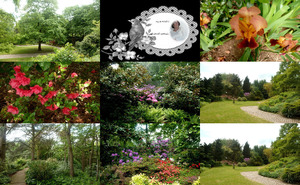 klicke hier, um die Datei herunterzuladen Le jardin de collection du Parc de Nanterre - des Parc