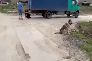 Idiots