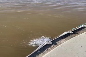 Fischfang lohnt sich