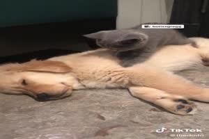 The best naps