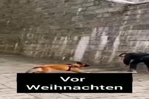 Vor und nach Weihnachten