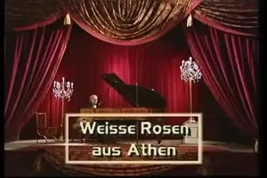 Weie Rosen aus Athen