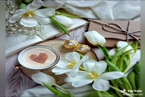 Magnifiques vidos - Wunderbare Videos