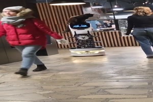 Katze auf Bedienroboter