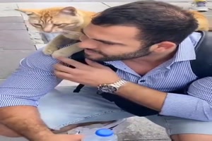 Anhngliche Katze