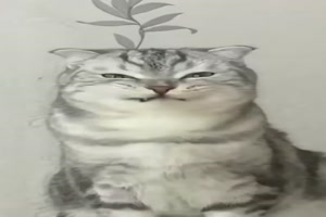 Katze versucht zu lcheln