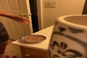 Katzen haben groen Hunger