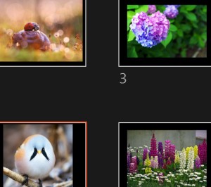 klicke hier, um die Datei herunterzuladen Pleine Nature 7 - Vollständige Natur 7