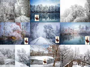 klicke hier, um die Datei herunterzuladen Philippe Sainte Laudy - Dentelles hivernales - Winterspitze