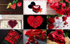 klicke hier, um die Datei herunterzuladen Valentine Day's Roses - Rosen zum Valentinstag