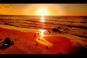 JOHANN STRAUSS - An der sch�nen blauen Donau