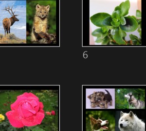 klicke hier, um die Datei herunterzuladen Pleine Nature 12 - Vollständige Natur 12