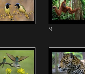 klicke hier, um die Datei herunterzuladen Pleine Nature 4 - Vollständige Natur 4
