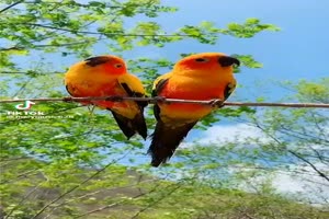 Natur1