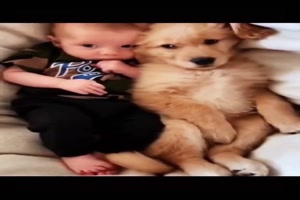 Kinder und ihre Hunde