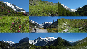 klicke hier, um die Datei herunterzuladen Turtmannhütte 1 Wallis