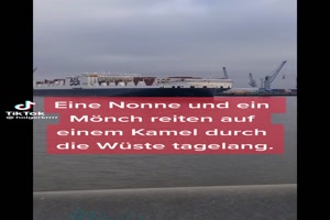 Jrgen v.d. Lippe - Das Kamel