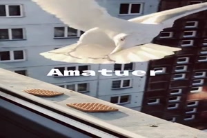 Amateur vs. Profi