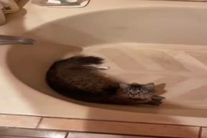 Du wirst ja wohl das Wasser nicht anmachen