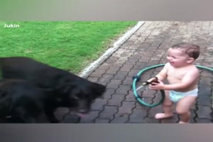 Every Dog Should Have a Child(1)