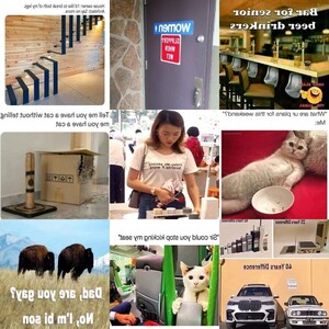 ENGLISCH - witzige Bilderserie mit witzigen Bildern in...