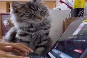 Der Chef guckt genau zu