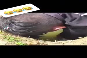Kein leichter Fang