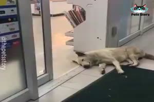 DoingNothingAtAll