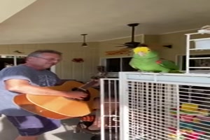 Gemeinsam musizieren