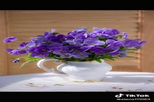 Flower mood - Blumenstimmung