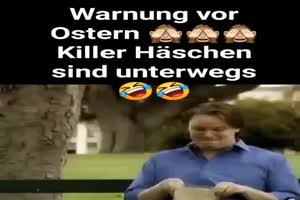 Hschen sind unterwegs